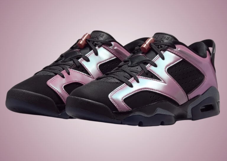 Air Jordan 6 Low Metamorphosis IX5195-001