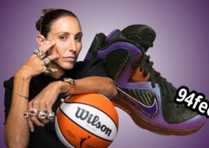 Diana Taurasi Nike LeBron 9 PE Black Court Purple 2027