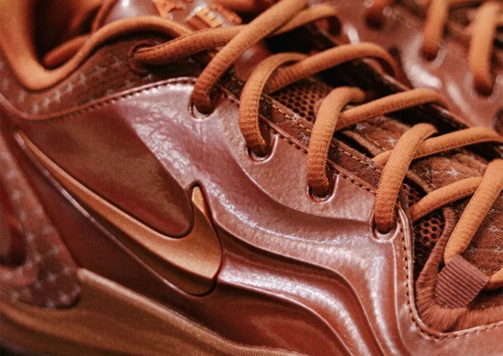 Playa Society Nike ATwo Dark Russet Terra Blush IX6704-200