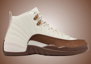 Fireside Air Jordan 12 CT8013-105