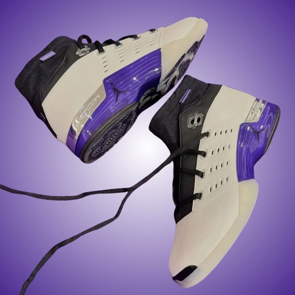 Infinite Archives Air Jordan 17 Low Varsity Purple JA8018-100
