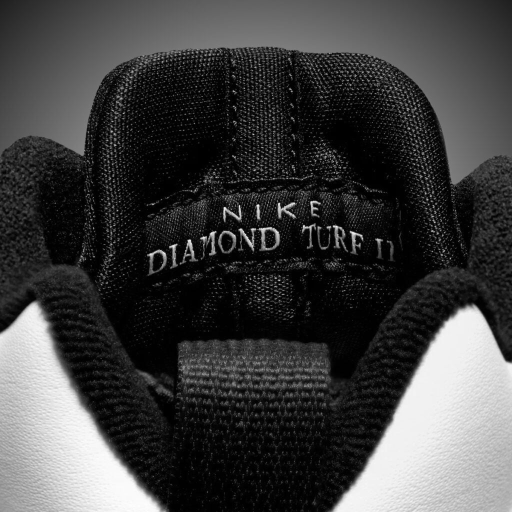 Nike Air Diamond Turf 2 White Black HQ2631-100