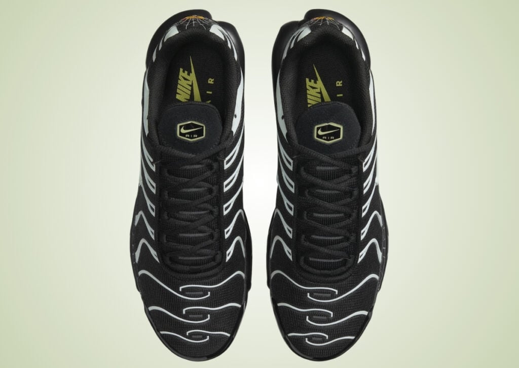 Nike Air Max Plus Spider Web 2026 DD4004-001