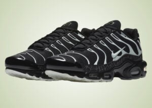 Nike Air Max Plus Spider Web 2026 DD4004-001