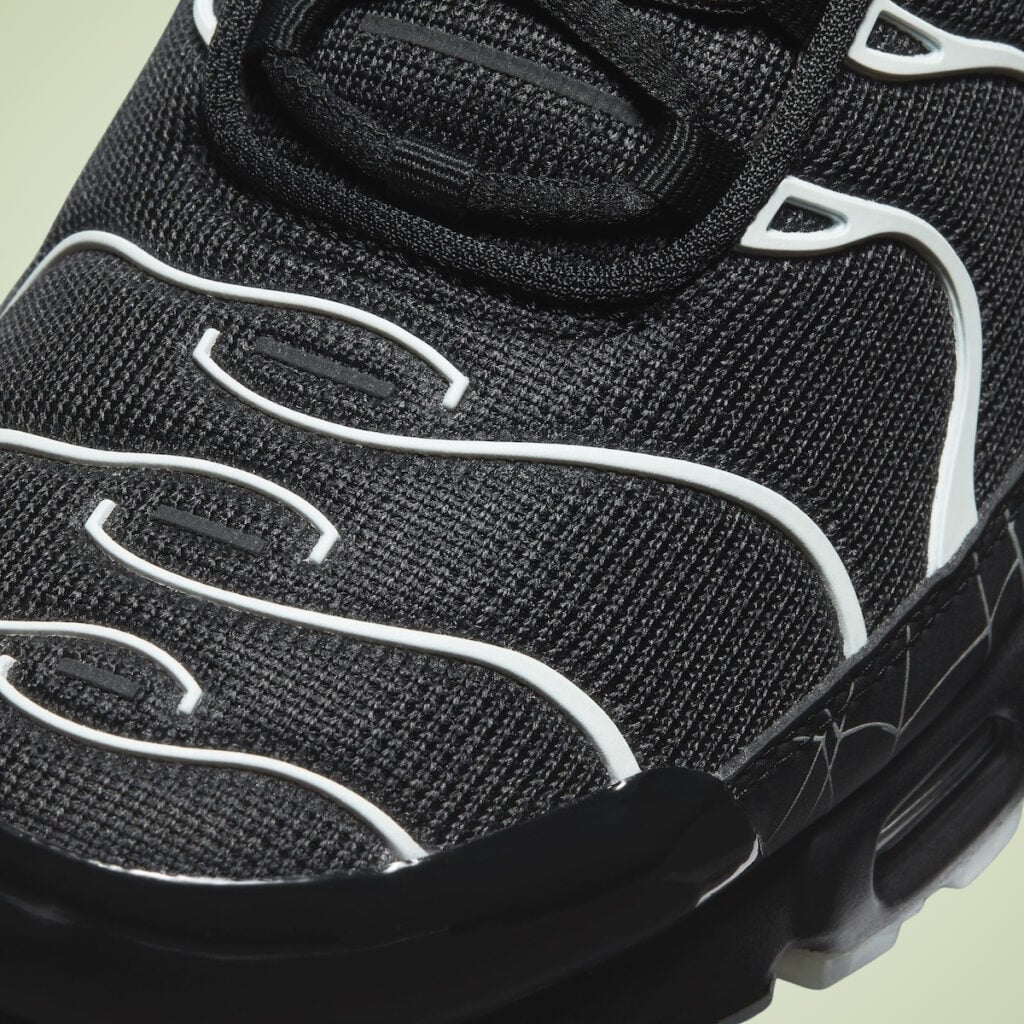 Nike Air Max Plus Spider Web 2026 DD4004-001