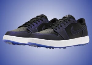 Air Jordan 1 Low Golf Space Jam JF1940-001