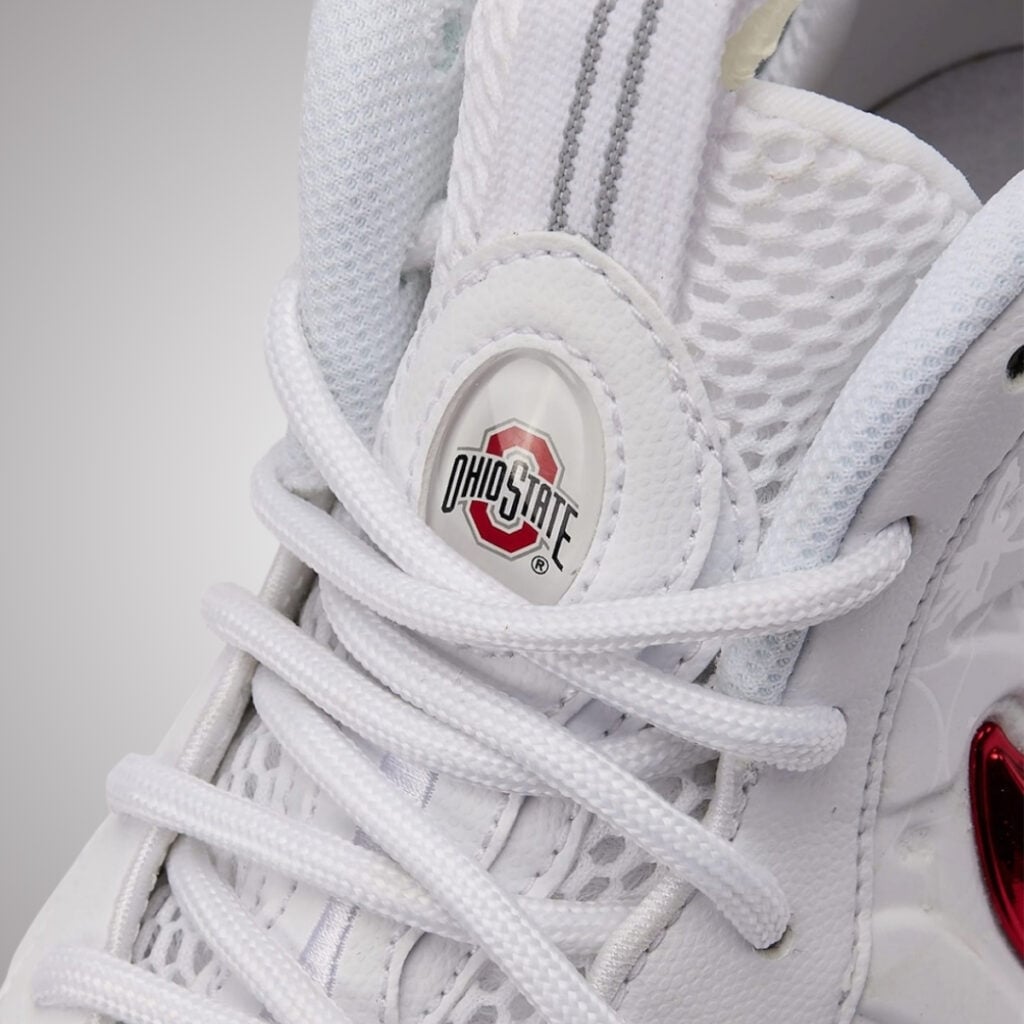 Nike Air Foamposite Pro Ohio State IX2094-100