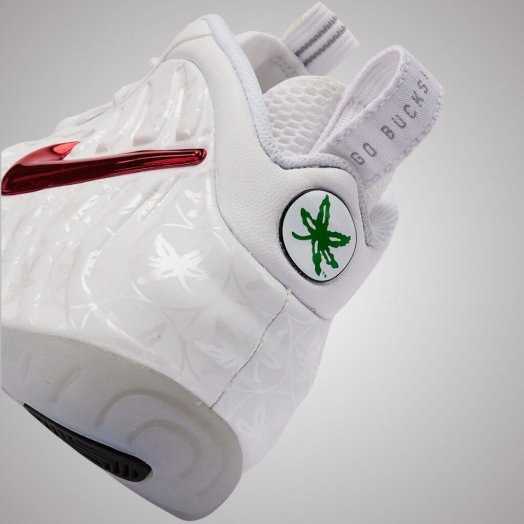 Nike Air Foamposite Pro Ohio State IX2094-100